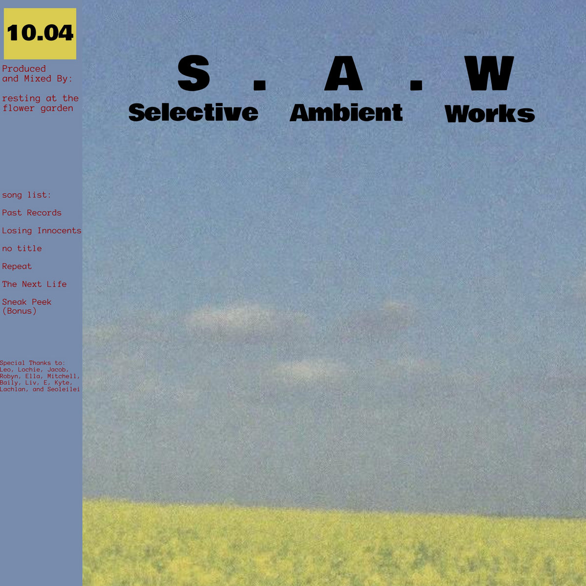 S . A . W: Selective Ambient Works album cover